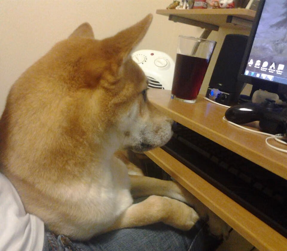 Kaiyun APP-斯图加特主场胜出，球迷欢呼雀跃，斯图加特vs