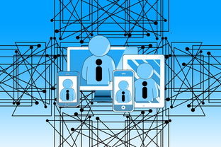 开云体育APP下载-NBA联盟裁判执法技术辅助研究，nba职业篮球裁判证