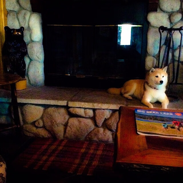 开云-中国篮球推出分龄竞赛体系打造青少年分阶段成长通道，中国篮球比赛分级