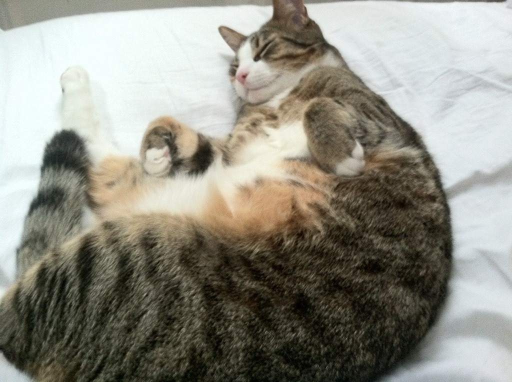 KAIYUN 中国大陆-青少年足球技能线上大赛吸引大量年轻玩家参与，激发运动热情，2021青少年足球比赛报名